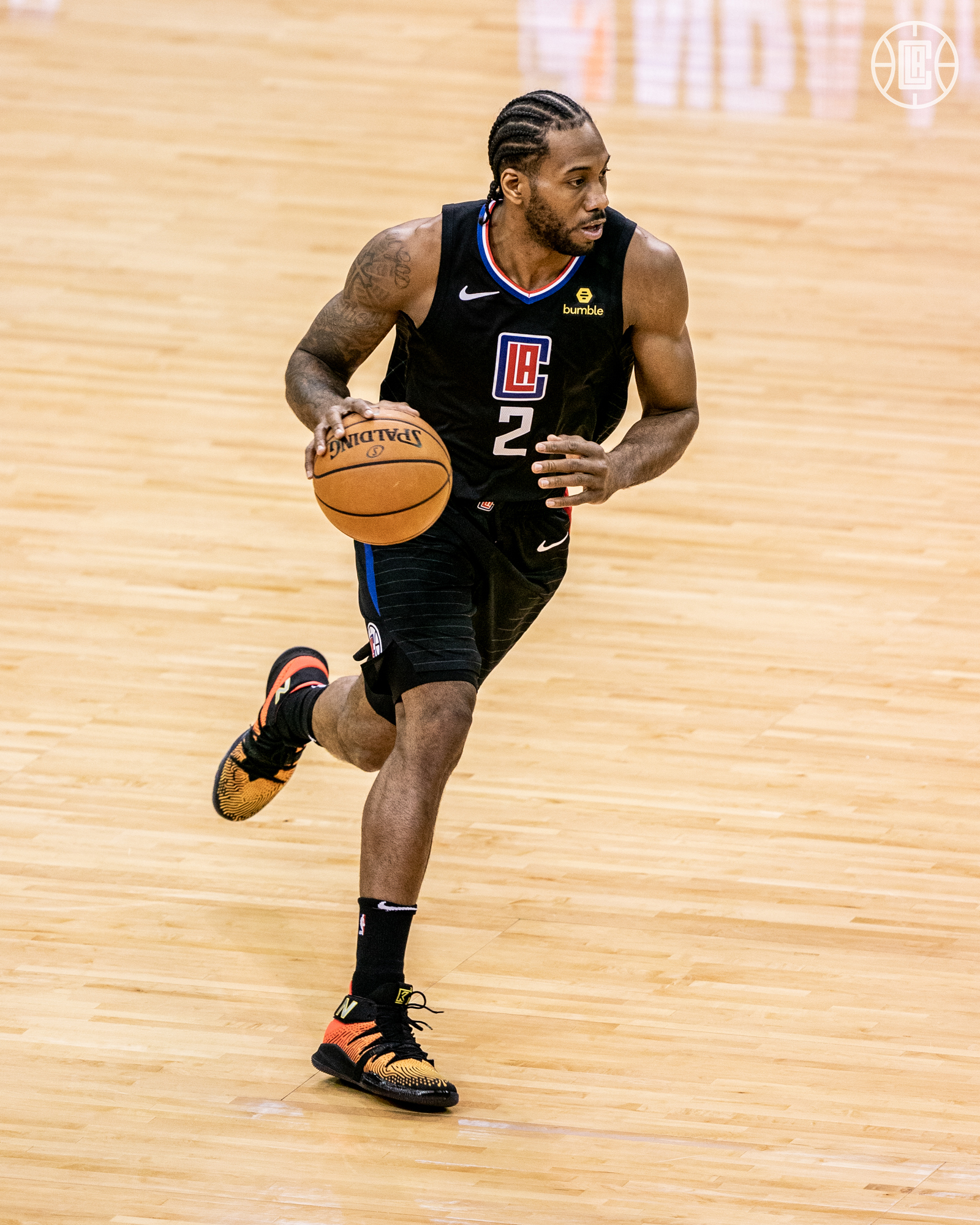 森林狼依托 森林狼依托